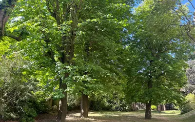 Fontenay-Sous-Bois (94120)