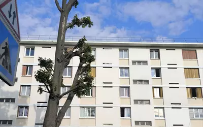 Eaubonne (95600)