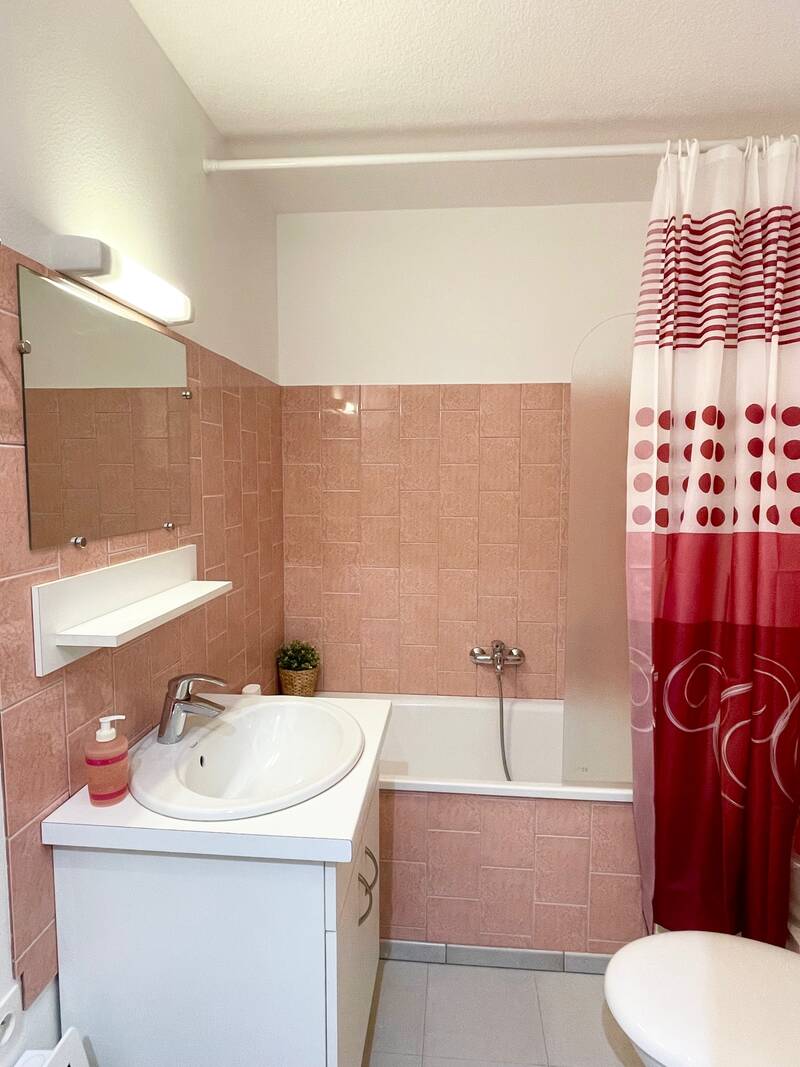 + Terrasse  Colmar (68000)