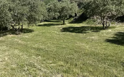 Neffiès (34320)