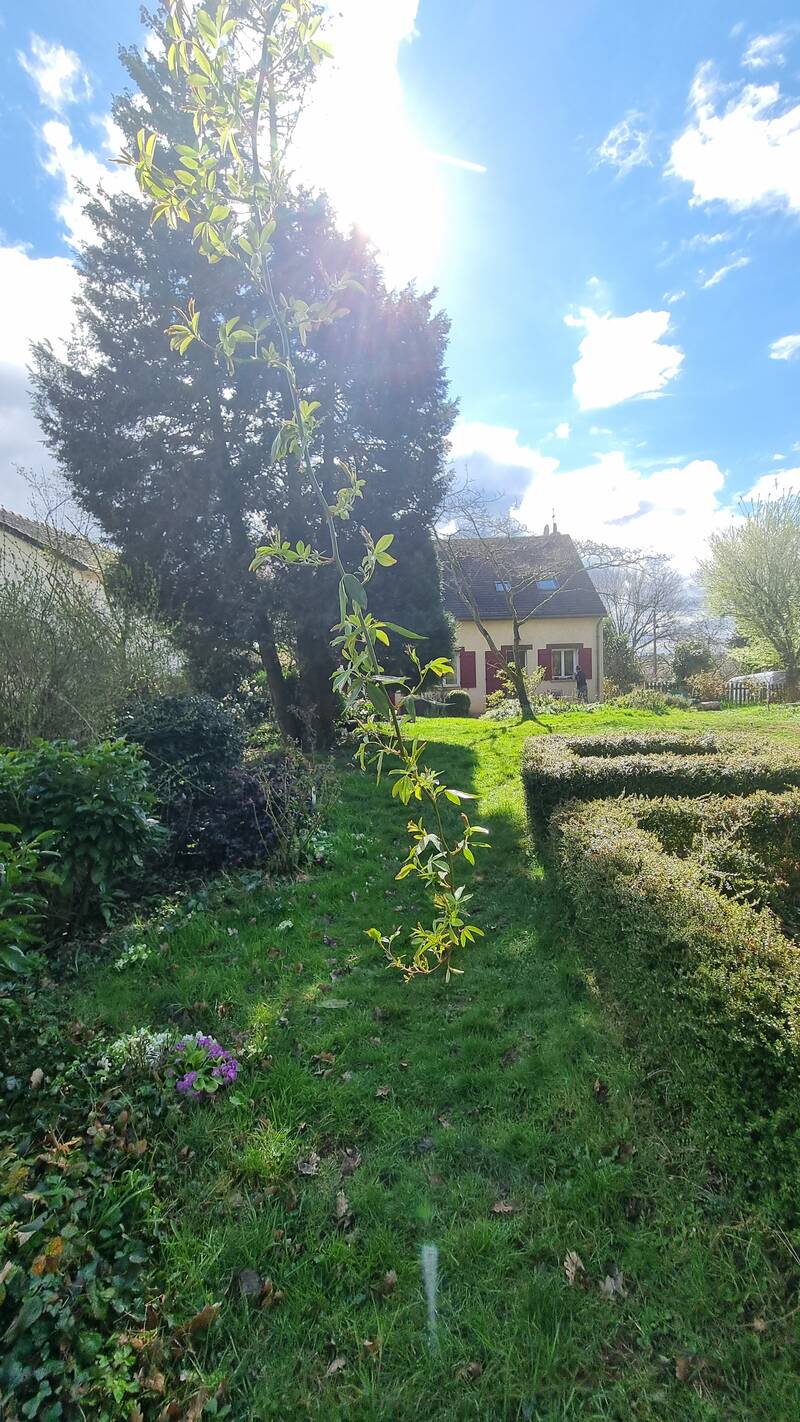 Saulx-Les-Chartreux (91160)