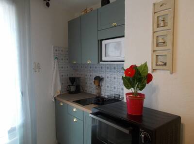 Location appartement studio Amélie-les-Bains-Palalda (66110)