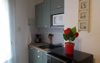 Amélie-Les-Bains-Palalda (66110)