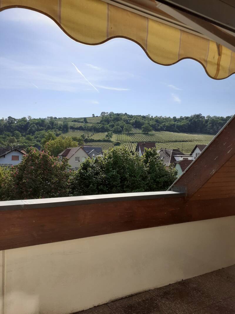 Avolsheim (67120)
