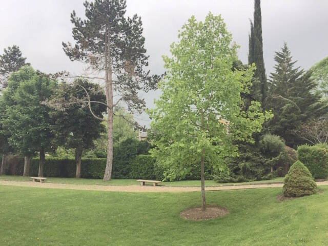 Saint-Cloud (92210)