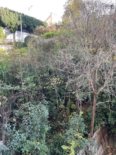 Vente appartement 2 pièces Nice (06)