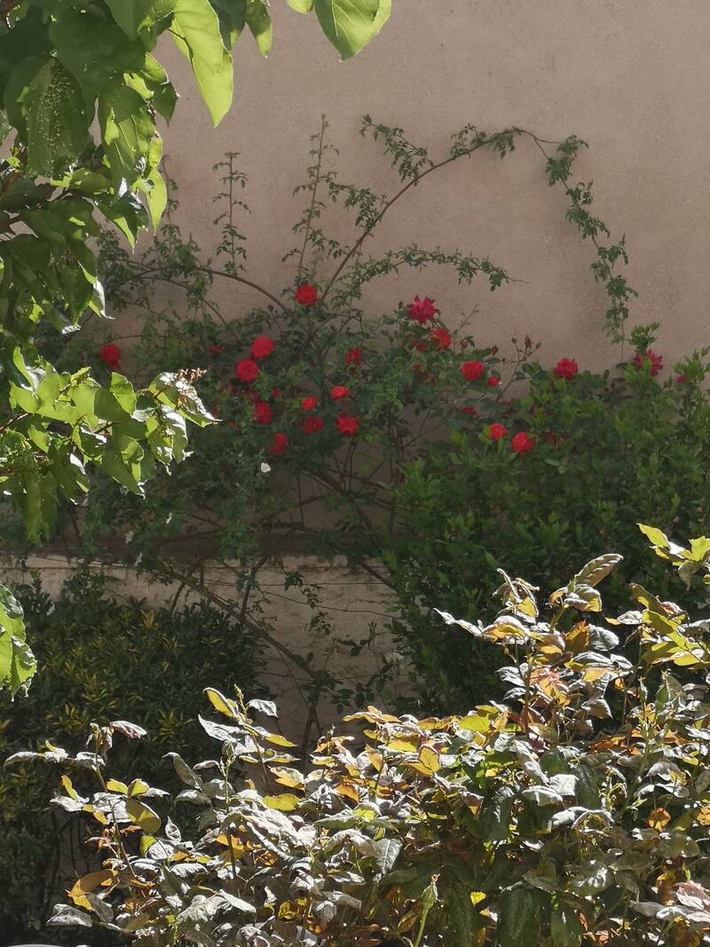 Arcueil (94110)