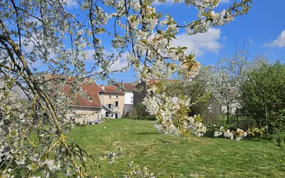 Domèvre-Sur-Vezouze (54450)