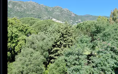 Biguglia (20620)