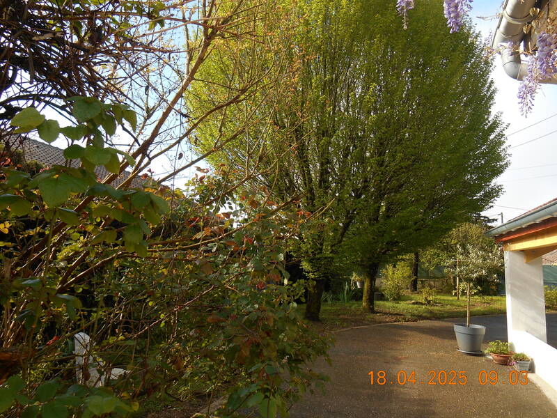 Ambronay (01500)