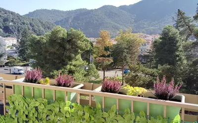 Amélie-Les-Bains-Palalda (66110)