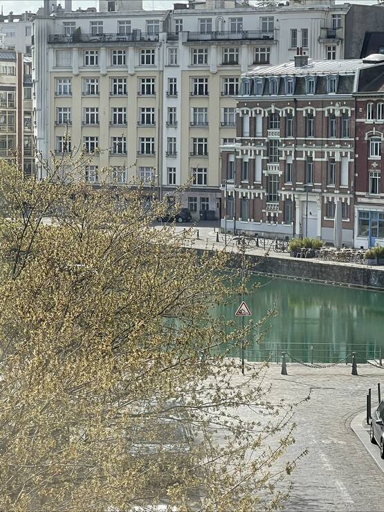 Lille (59000)