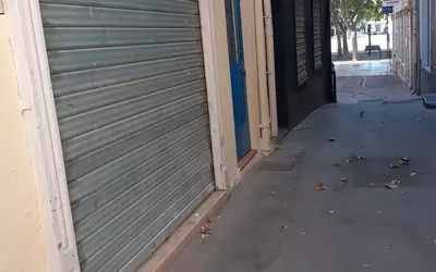 Narbonne (11100)