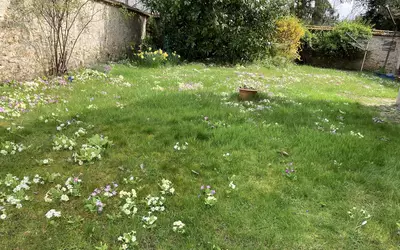 Rambouillet (78120)