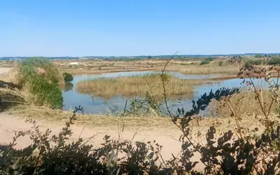 Batz-Sur-Mer (44740)