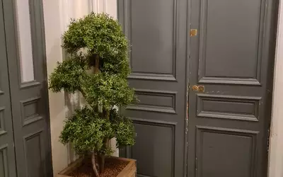 Paris 9E (75009)