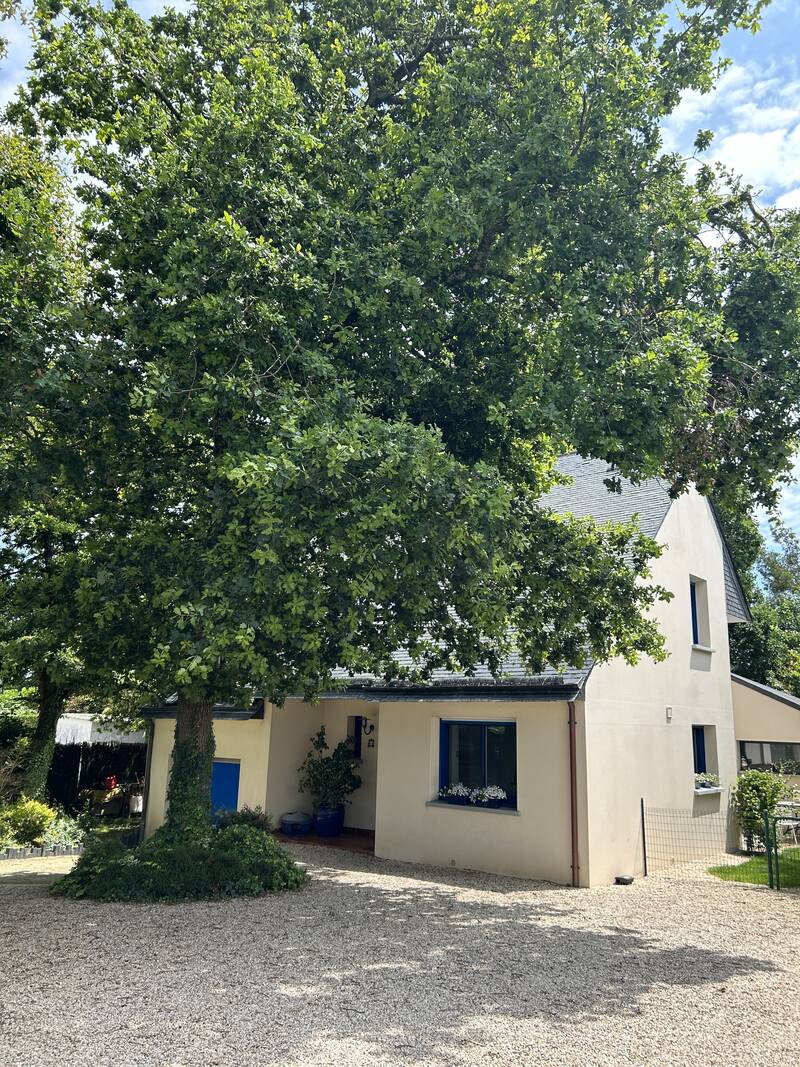 Pluneret (56400)