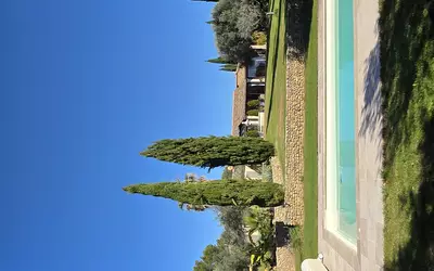 Vaison-La-Romaine (84110)