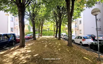 Toulouse (31000)