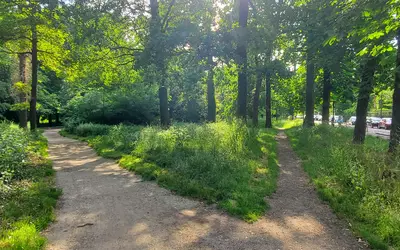Fontenay-Sous-Bois (94120)