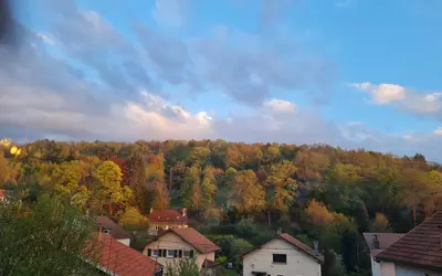Saint-Dié-Des-Vosges (88100)