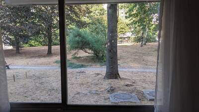 Vente appartement studio Maisons-Alfort (94700)