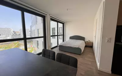 Palaiseau (91120)