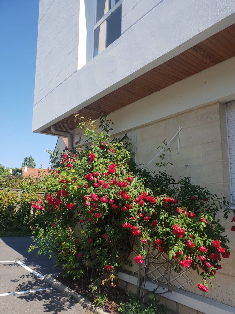 Palaiseau