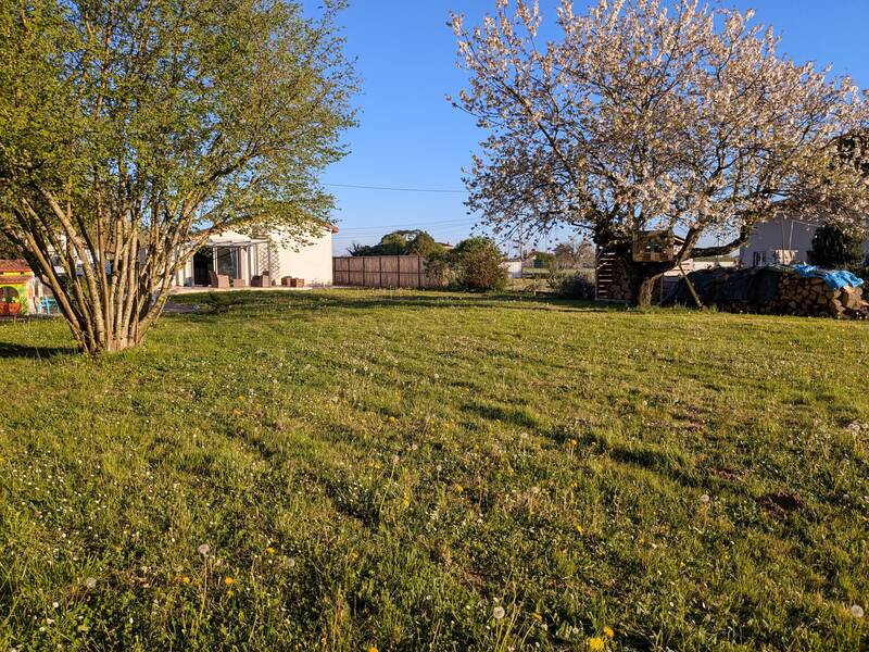 Moissac (82200)