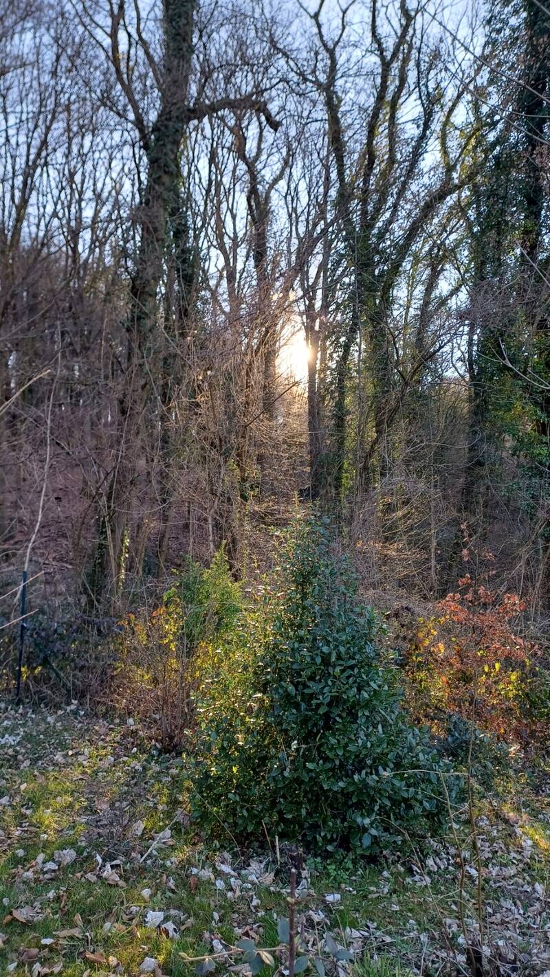 Cuise-La-Motte (60350)