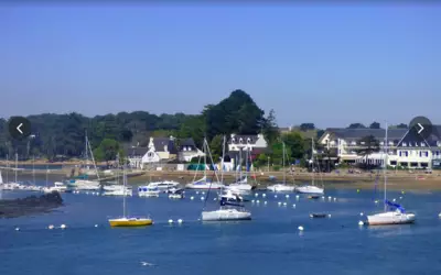 Vannes (56000)