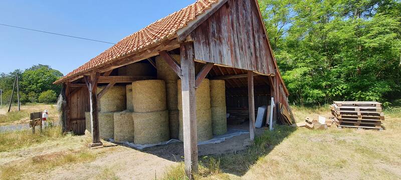 Lamotte-Beuvron (41600)