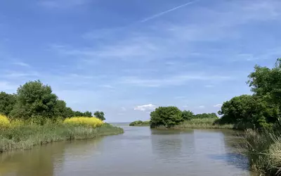 Pauillac (33250)