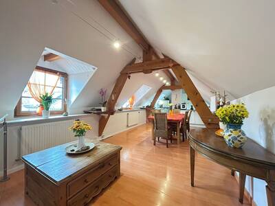 Vente appartement 8 pièces Annecy (74000)