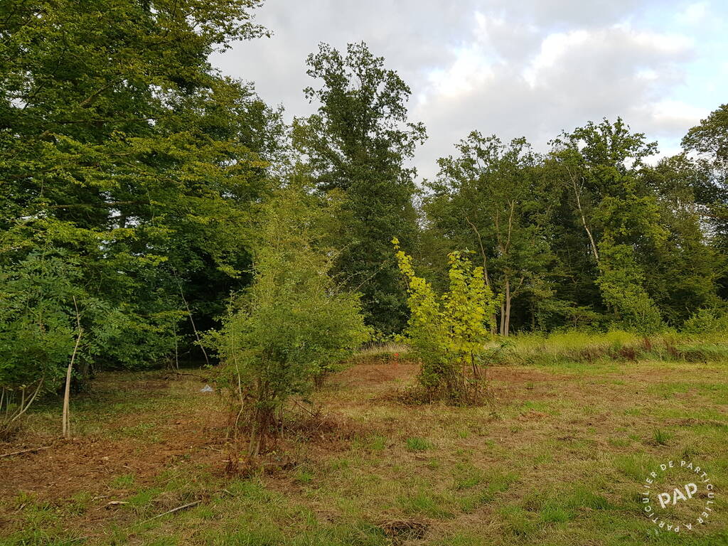 Vente Terrain