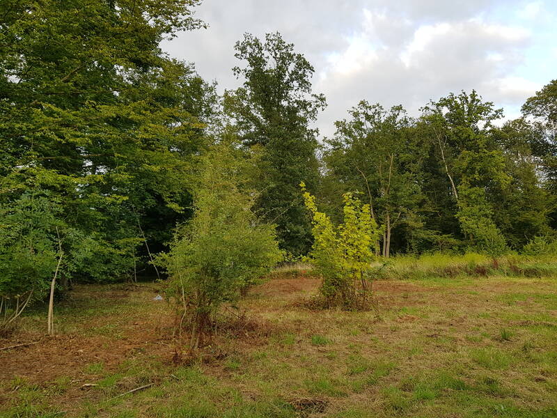 Mérignies (59710)
