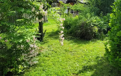 Tours-En-Savoie (73790)