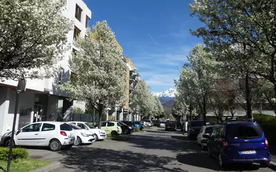 Grenoble (38000)