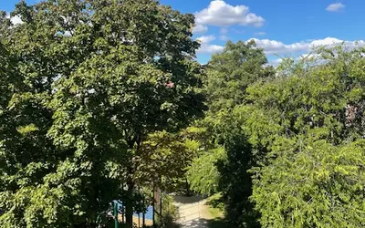 Colombes (92700)