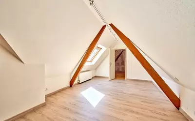 Haguenau (67500)