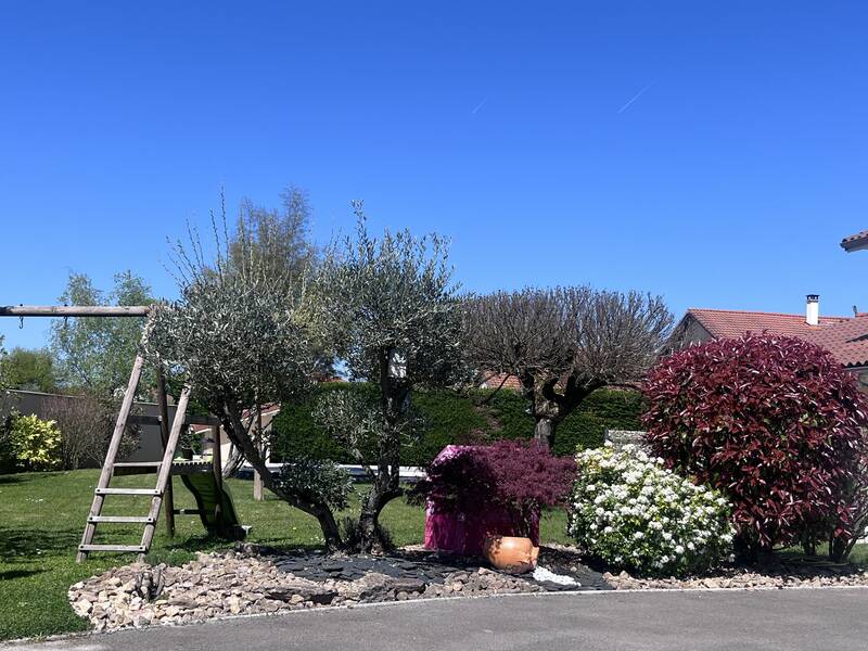 Villars-Les-Dombes (01330)