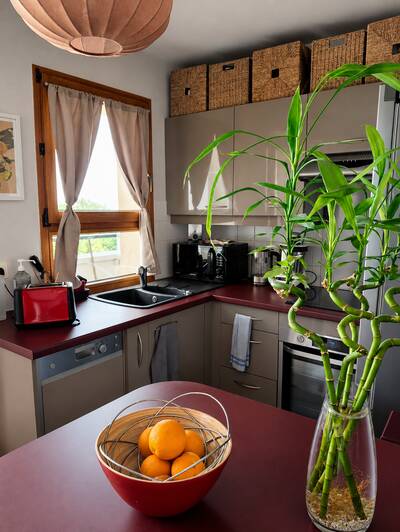 Vente appartement studio Le Plessis-Robinson (92350)
