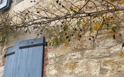 Noailles (81170)
