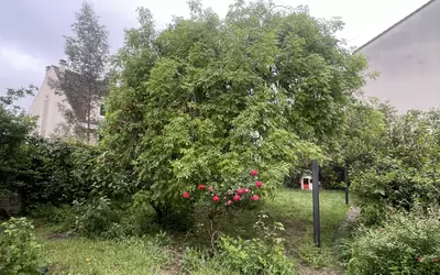 Champigny-Sur-Marne (94500)