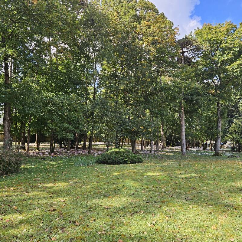 Savonnières (37510)
