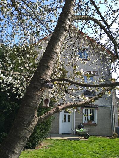 Vente maison 6 pièces Crosne (91560)