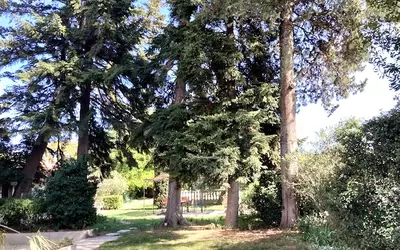 Montélimar (26200)