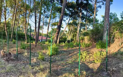 Lège-Cap-Ferret (33950)