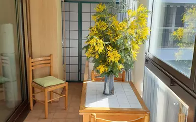 Mandelieu-La-Napoule