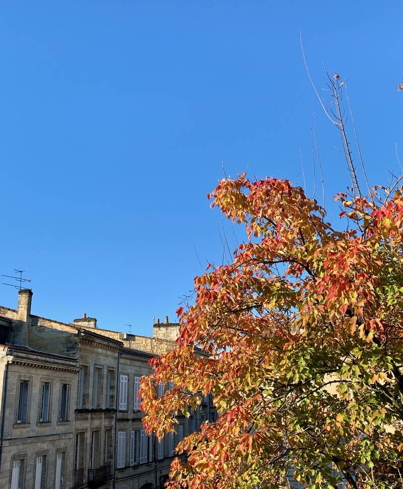 Bordeaux (33000)